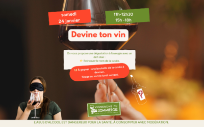 🍷 Devine ton vin : une dégustation à l’aveugle