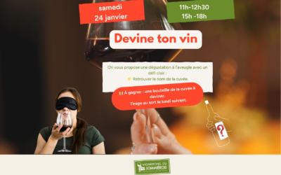 🍷 Devine ton vin : une dégustation à l’aveugle